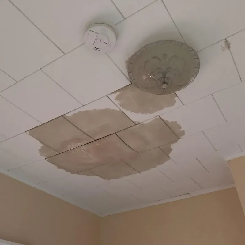 Ceiling Water Damage Repair in University, FL